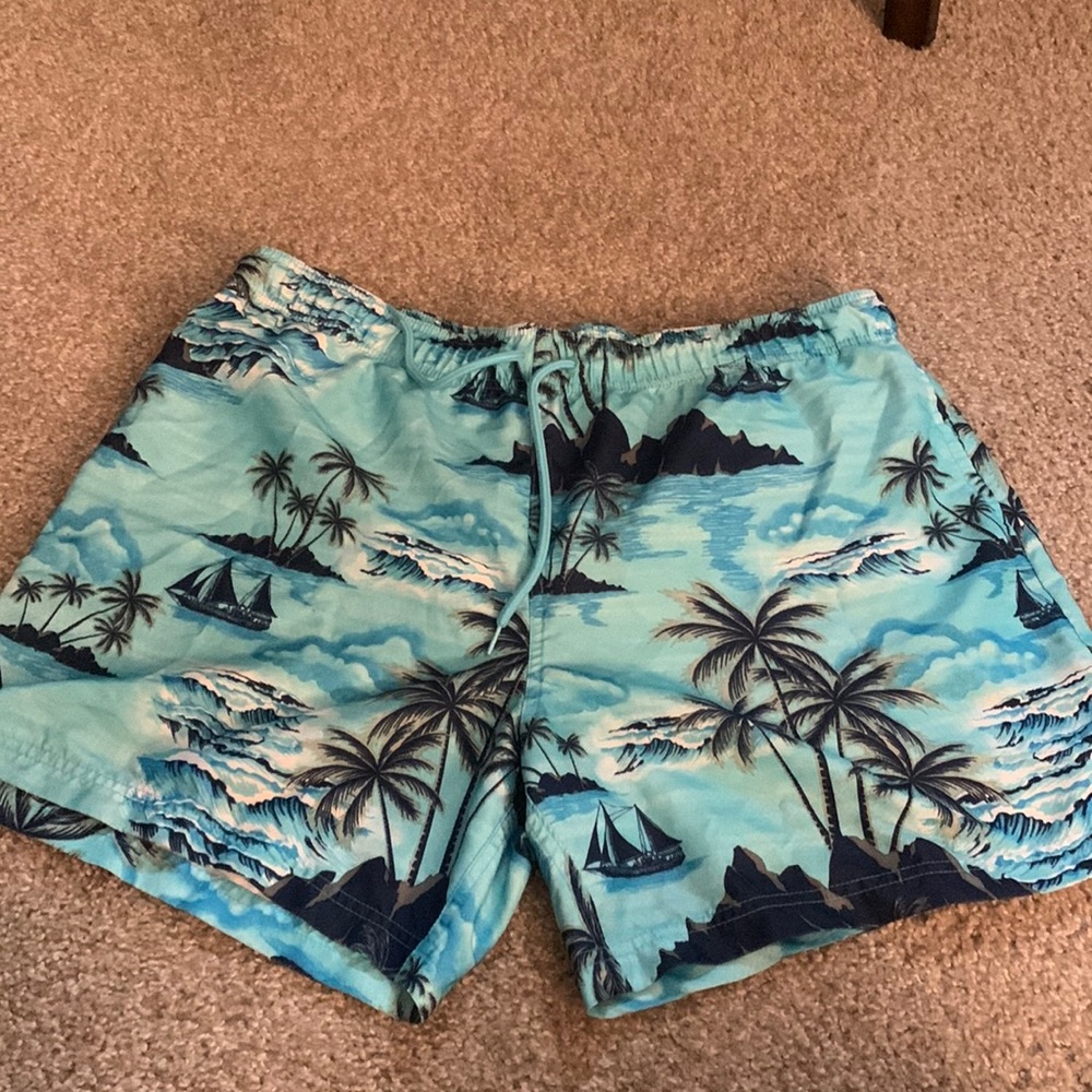 Mens swim shorts beach